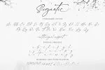Signatie - Stylish Signature Font