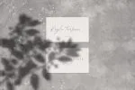 Signatie - Stylish Signature Font
