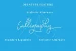 Signatura Monoline Script Font
