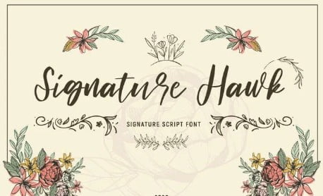 Signature Hawk - Script Font