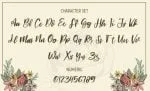 Signature Hawk - Script Font