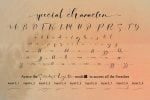 Signature Photopedia - A Casual Script Handwriting Typeface