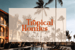 Signesha Elegant Typeface