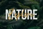 Silence Font