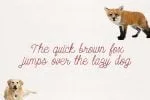 Silgoumy Font
