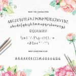 Silly Me Font