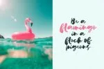 Silver Lake Script Font