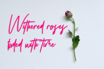 Silverside Font