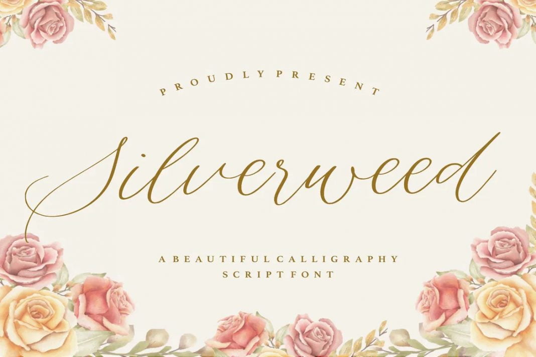 Silverweed YH - Elegant Script Font