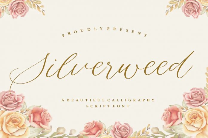 Silverweed YH - Elegant Script Font