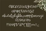 Simbaloo Font