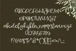 Simbaloo Font