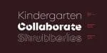 Singolare Font Family