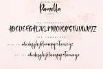 Sister Pamella Font