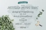 Sisterfields Script Font
