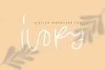 Skintone Script - Stylish Signature Font