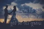 Sky Flower Font