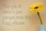 Sky Flower Font