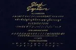 Slash Signature Font