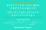 Sleeky Font