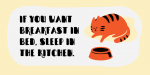 Sleepy Fat Cat Typeface Font