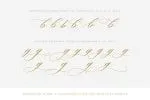 Slight, a Calligraphy Script Font