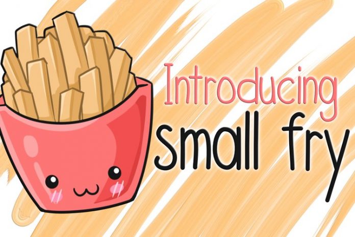 Small Fry Font