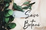 Smart Signature Font