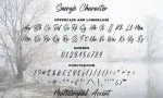 Smergie - Wild Brush Typeface Font
