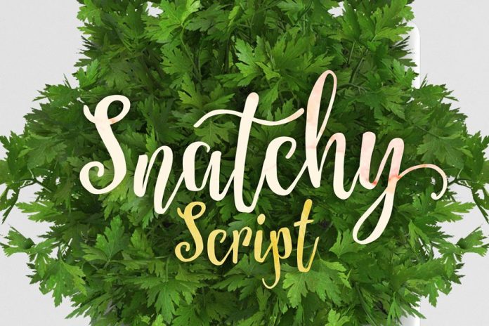 Snatchy Font Snatchy Font