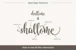 Snatchy Font