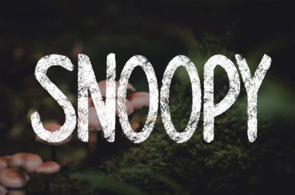 Snoopy Font