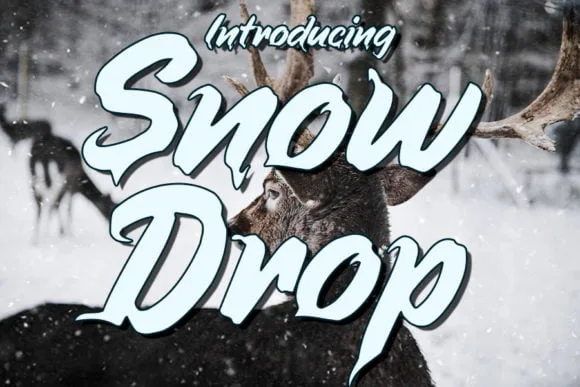 Snow Drop Font