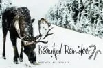 Snowdem Christmas Font