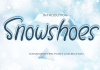 Snowshoes - Elegant Handwritten Font