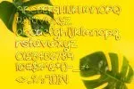 Snuggly Bug Font
