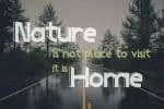 Social Trend Font