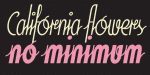 Soda Script Font