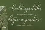 Soganest Font
