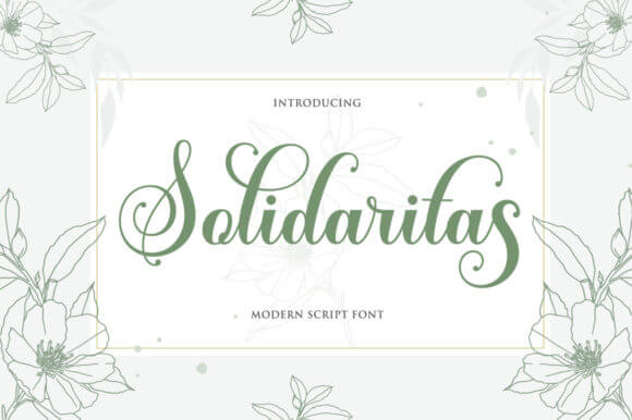 Solidaritas Font