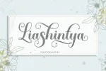 Solidaritas Font