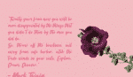 Sollitairy Script Font