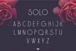 Solo Font Family