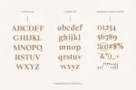 Solomon Family Font