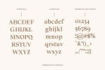 Solomon Serif Font