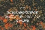 Something Wild Font
