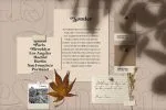 Sonder Family 5 Styles Font