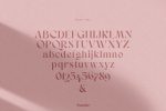 Sonder Family 5 Styles Font