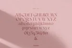 Sonder Family 5 Styles Font