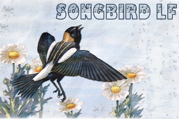 Songbird LF Font